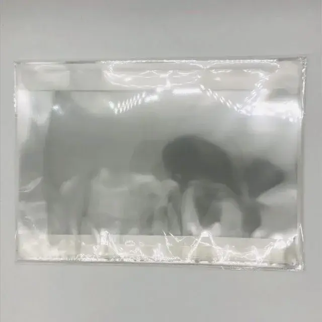 クリアポケット　大判　見開き　50枚　20枚